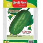 হাইব্রিড নওগাঁ খিরা বীজ