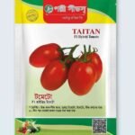 হাইব্রিড টমেটো বীজ