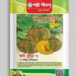 F1 হাইব্রিড মিষ্টি কুমড়া