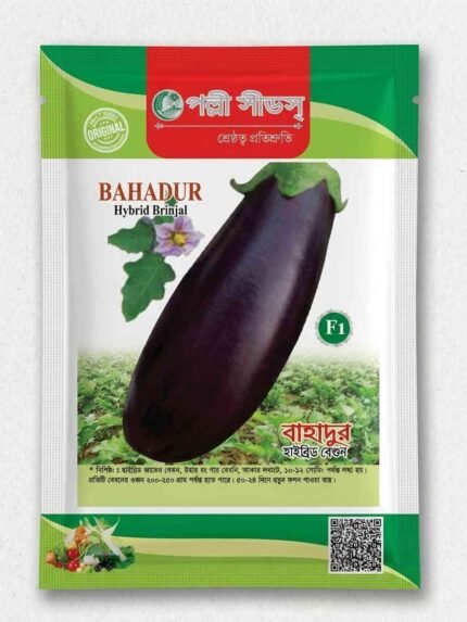 বাহাদুর' হাইব্রিড বেগুন
