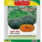 ব্ল্যাক গোল্ড F1 হাইব্রিড মিষ্টি কুমড়া