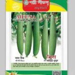 হাইব্রিড ধুন্দুল