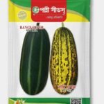 বাঙ্গি সুপার হাইব্রিড বীজ