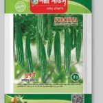 সুবর্ণা হাইব্রিড চিচিঙ্গা