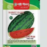 মার্কেট লিডার' হাইব্রিড তরমুজ
