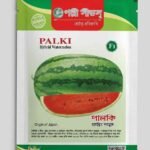 হাইব্রিড তরমুজ