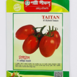 টাইটান F1 হাইব্রিড টমেটো
