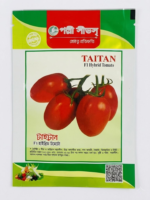 টাইটান F1 হাইব্রিড টমেটো