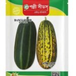 বাঙ্গি সুপার HYV বাঙ্গি