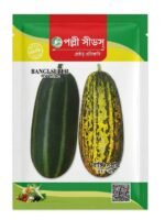 বাঙ্গি সুপার HYV বাঙ্গি