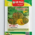থাই সুইট ২ F1 হাইব্রিড মিষ্টি কুমড়া