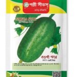 নওগাঁ স্টার HYV নওগাঁ ক্ষীরা