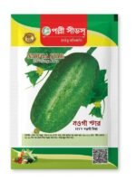 নওগাঁ স্টার HYV নওগাঁ ক্ষীরা