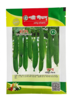 রুপা হাইব্রিড ঝিঙ্গা
